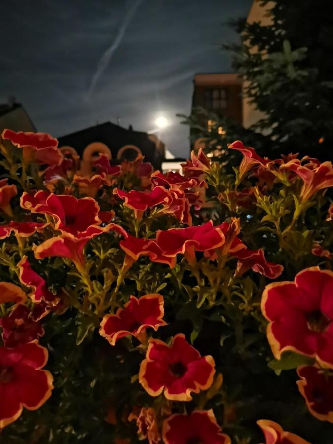 Vukajlo Apartment ベオグラード エクステリア 写真