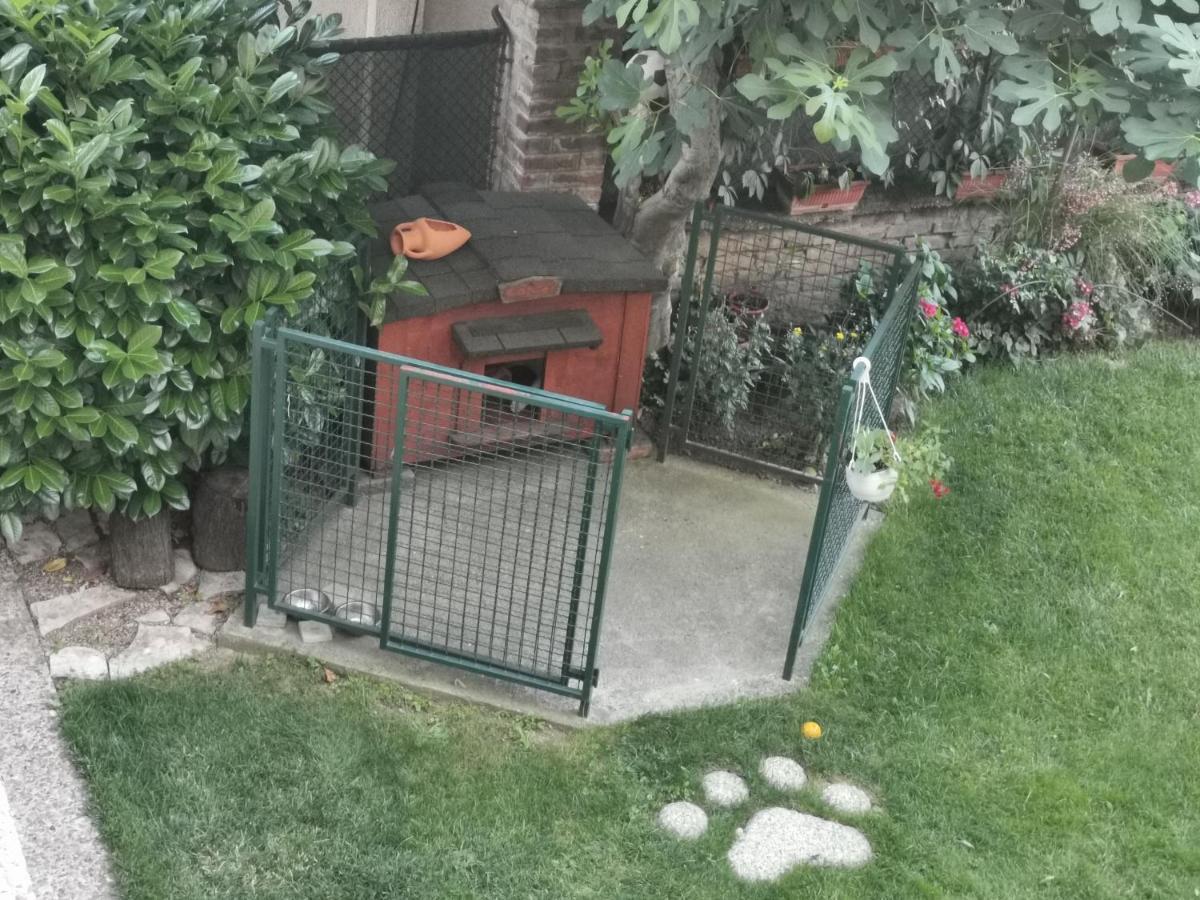 Vukajlo Apartment ベオグラード エクステリア 写真